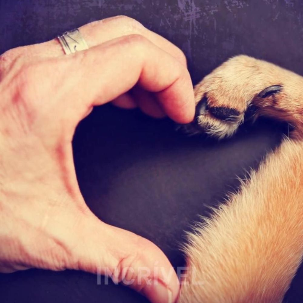 Meet your Posher, Eliane